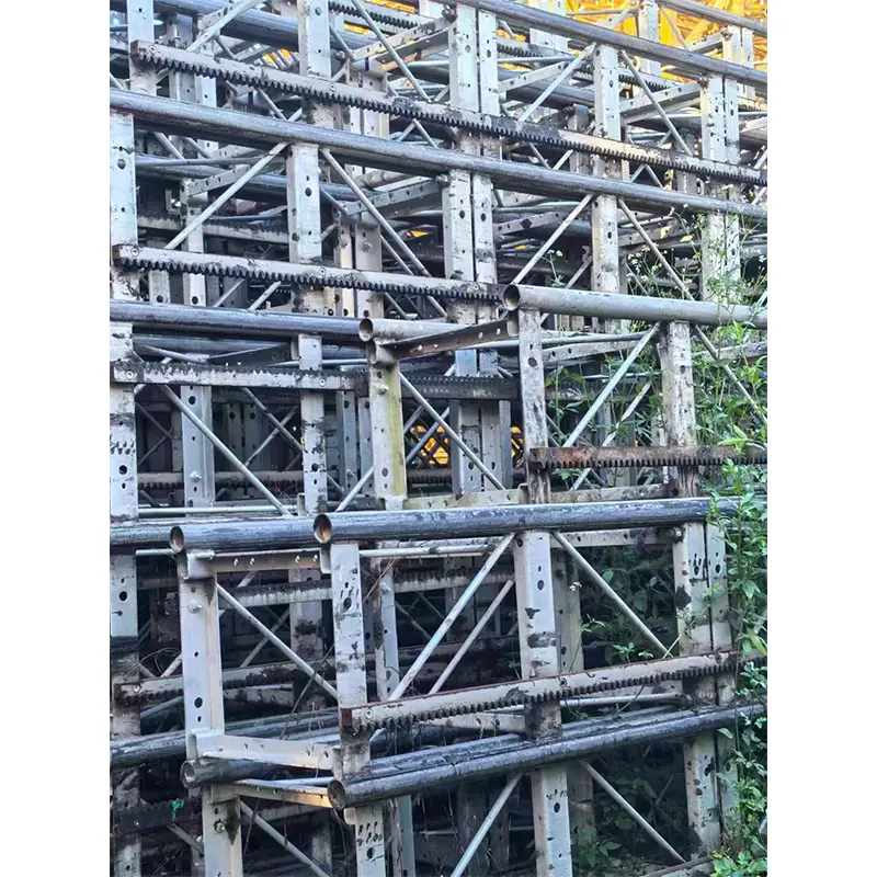 2019-2023 used construction hoist TEWEI SC200200 for construction (3).jpg