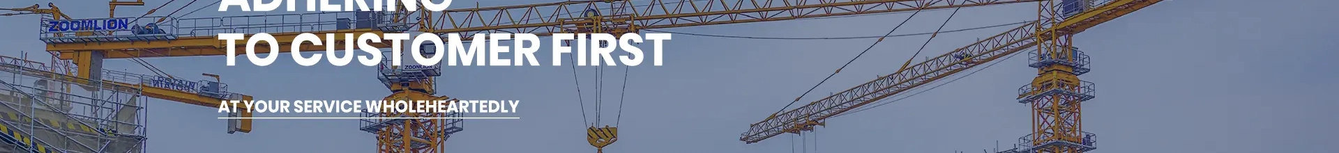 Bottom Slewing Tower Crane